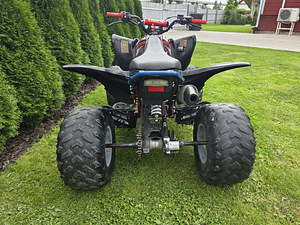 Pentora 250cc механика (10 фото из 10)