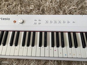 Artesia Performer (1 foto / 4)