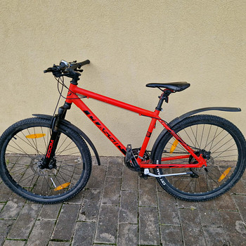 Punane mägiratas Classic 26 Pro Disc