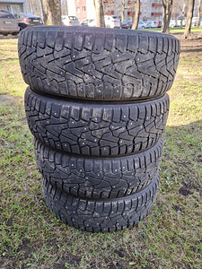 Talverehvid / Naastrehvid Pirelli Ice Zero 195/65 R15 (1 foto / 10)