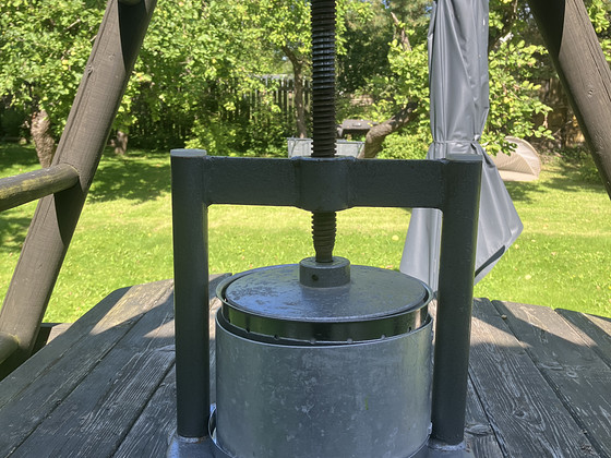 Väike mahlapress