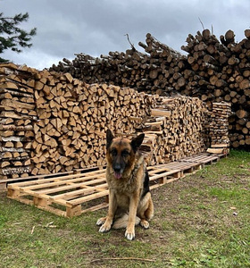KASK, MUST-LEPP, SANGLEPP KUIVADKÜTTEPUUD!-Tallinn,Harjumaa (8 foto / 8)