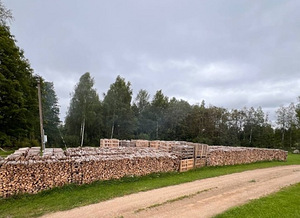 KASK, MUST-LEPP, SANGLEPP KUIVADKÜTTEPUUD!-Tallinn,Harjumaa (3 foto / 8)