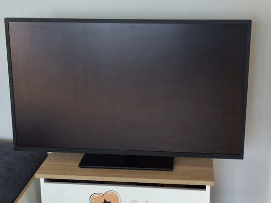 Professionaalne 4K monitor HP Z43 42.5" (2022 a.)