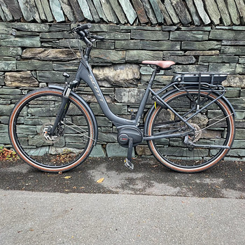 Elektrijalgratas Scott, Boschi mootor, 250 vatti, 25 km/h