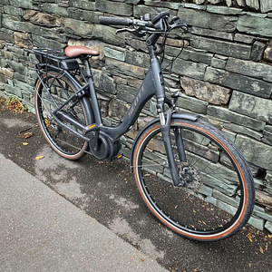 Elektrijalgratas Scott, Boschi mootor, 250 vatti, 25 km/h (4 foto / 4)