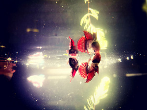 Betta plakat isased // Plakat Beta (1 foto / 8)