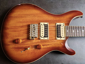 Kitarr Paul Reed Smith Standard SE (3 foto / 4)