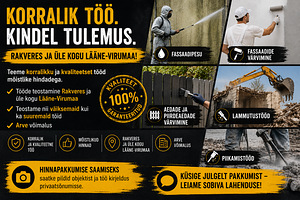 Fassaadipesu, fassaadide värvimine (1 foto / 1)
