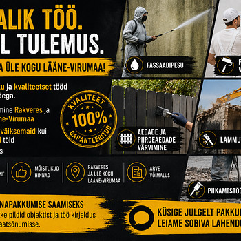Fassaadipesu, fassaadide värvimine