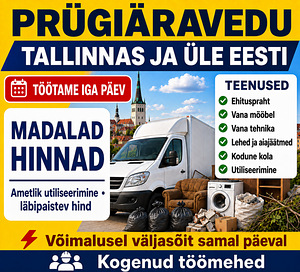 Vana mööbli ja prahi äravedu, utiliseerimine | Вывоз хлама (2 фото из 6)