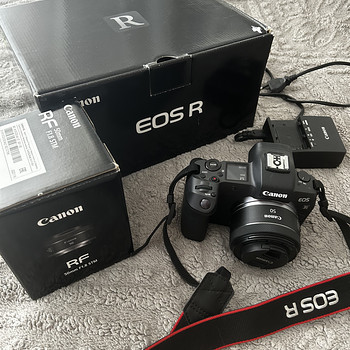 Canon EOS R + Canon RF 50mm f/1.8 STM