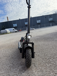 Самокат Ecoscooter (7 фото из 7)
