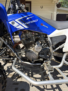 Yamaha Raptor 250cc (2 foto / 6)