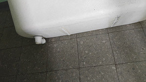 Annan vanni (3 foto / 3)