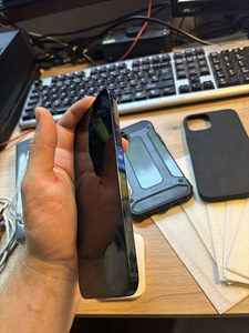iPhone 12 Pro Max ja aksessuaarid (4 foto / 4)