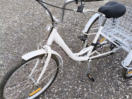 Jalgrattas 24