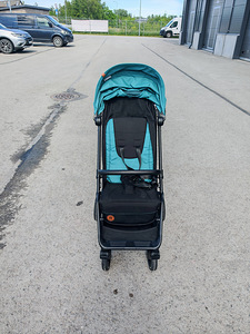 Lastekäru lionelo (3 foto / 10)