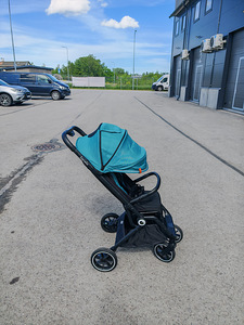 Lastekäru lionelo (5 foto / 10)