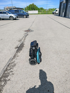 Lastekäru lionelo (7 foto / 10)