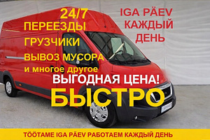 Грузоперевозки по доступной цене-грузчики, вывоз мусора 24/7 (7 фото из 7)