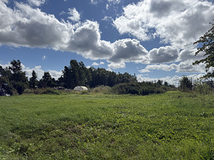 Toompihlaka tee 4, Ülgase, Jõelähtme vald, Harjumaa (3 фото из 9)