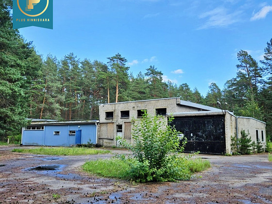 Ida-Viru maakond, Narva-Jõesuu linn, Narva-Jõesuu linn, Piiri tee 11