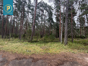 Ida-Viru maakond, Narva-Jõesuu linn, Narva-Jõesuu linn, Pähkli tee 6 (4 foto / 11)