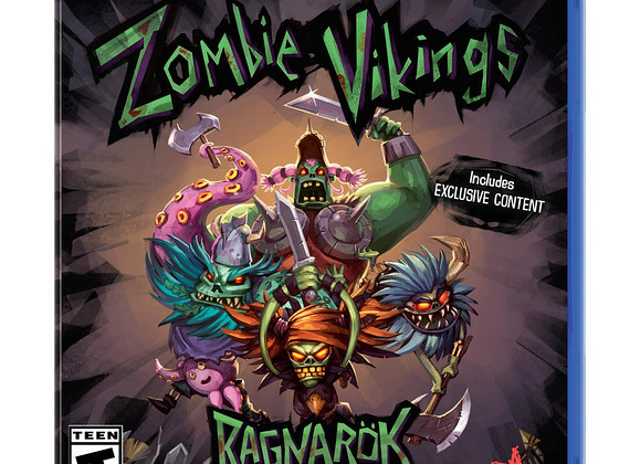 Mäng PS4 Zombie Vikings 1-4 mängijat