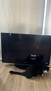 LG 42LH3000 teler — 42” (2 foto / 2)