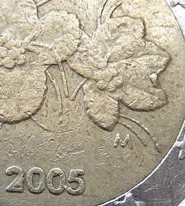 Finland 2005 2 euro. Dfektid õitel ja tähtedel. Väga harv. (2 foto / 6)