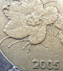 Finland 2005 2 euro. Dfektid õitel ja tähtedel. Väga harv. (5 foto / 6)