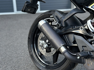 Husqvarna Vitpilen 401 (9 фото из 10)