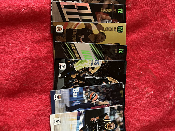 Top class panini euroliiga kaardid