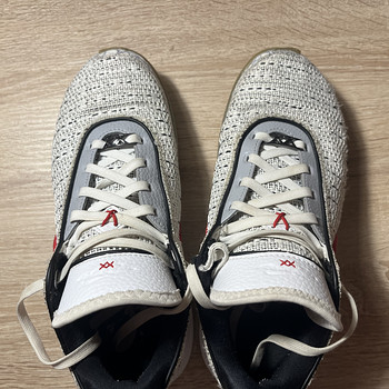 Баскетбольные кроссовки Nike LeBron XX GS