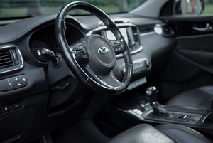 Kia Sorento Rebel (12 фото из 15)