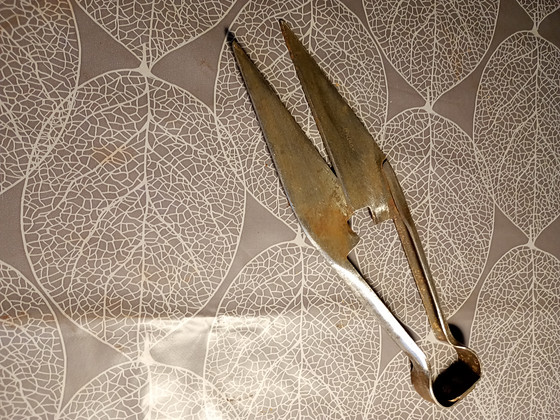 Käärid lammaste villa pügamiseks ja sobivad hästi kalameeste