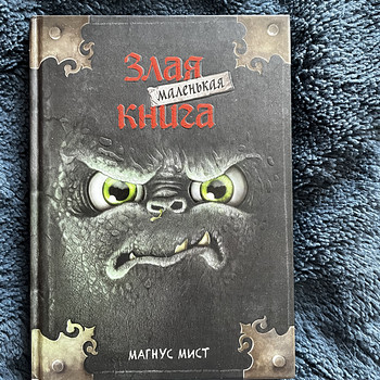 Väike kuri raamat