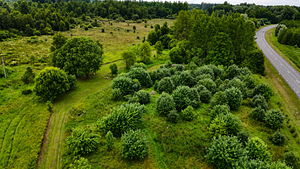 Tõhelgi, Raasiku vald, Harjumaa (6 фото из 9)