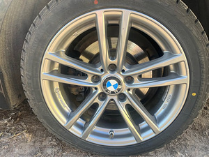BMW F31 2015 (7 foto / 11)