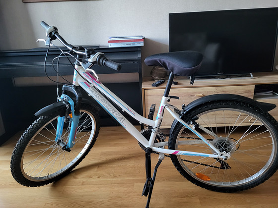 Teismelise jalgratas Esperia Enjoy 24"