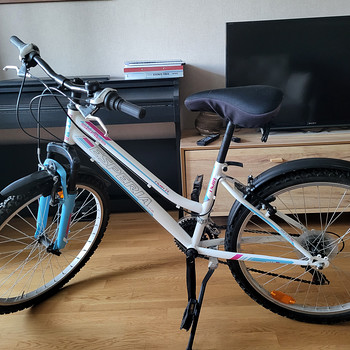 Teismelise jalgratas Esperia Enjoy 24"