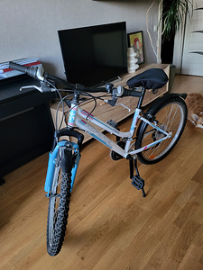 Teismelise jalgratas Esperia Enjoy 24" (3 foto / 3)