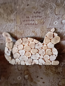 Кошка.Можжевельник. (1 фото из 1)