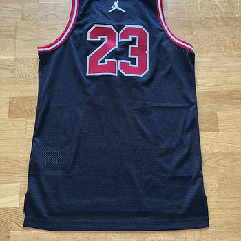 Chicago Bulls korvpalli särk nr 23