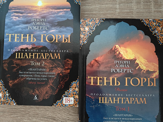 Роман "Тень горы"