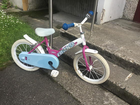Laste abirattadega jalgratas “Dino Bikes” 14’’