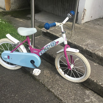 Laste abirattadega jalgratas “Dino Bikes” 14’’