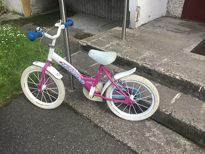 Laste abirattadega jalgratas “Dino Bikes” 14’’ (3 foto / 10)