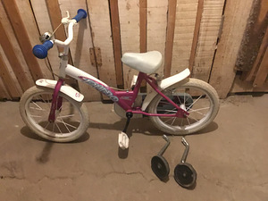 Laste abirattadega jalgratas “Dino Bikes” 14’’ (2 foto / 10)